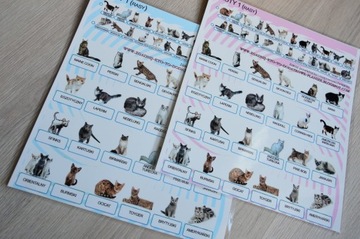 ДОПОЛНИТЕЛЬНЫЕ ДОСКИ для игры «Угадай, кто это» — ОБНОВИТЬ