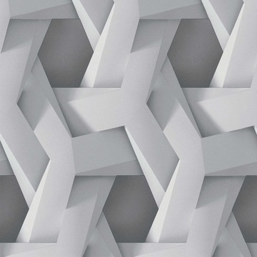 Tapeta zmywalna na flizelinie AS 38721-2 geometry