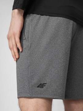 БЫСТРОСУХИЕ ТРЕНИРОВОЧНЫЕ ШОРТЫ 4F SKMF016 - L