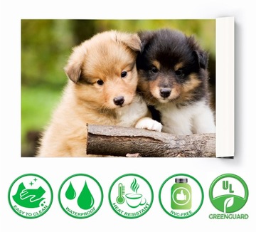 Защитный коврик для стола 120х60 Собаки для детей