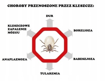 СПРЕЙ МУГГА ОТ КОМАРОВ И КЛЕЩЕЙ 9,5% ДЭТА