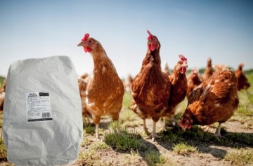 НАТУРАЛЬНАЯ Кизельгур 500г ЭКО