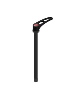 DT Swiss zacisk tył Plug In E-Thru Hollow Axle 12/142mm alu