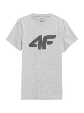 4F КОМПЛЕКТ МУЖСКОЙ ФУТБОЛКИ И ШОРТ