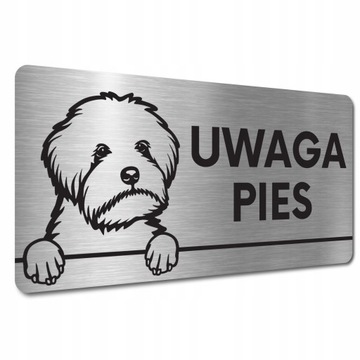 TABLICZKA UWAGA GROŹNY PIES ZŁY PIES Maltipoo TABLICZKA UWAGA ZŁY PIES