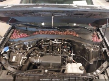 Ford Explorer VI 2023 Ford Explorer Timberline, 2023r., 4x4, 2.3L 2.3 Benzyna 300KM, zdjęcie 12