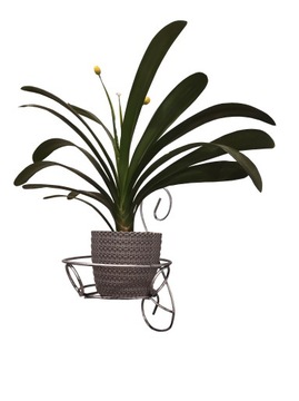 Металлическая настенная подставка для цветов, подставка, держатель на створку