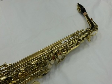 АЛЬТО-САКСОФОН EVER PLAY SA-650