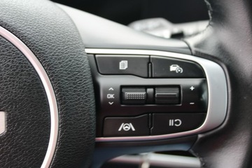 Kia Sportage V SUV 1.6 CRDi 115KM 2022 Kia Sportage Kamera Gwarancja Virtual, zdjęcie 19