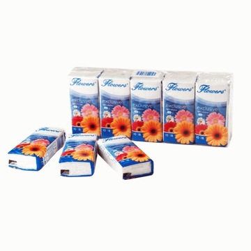 Chusteczki higieniczne 3W 10 sztuk