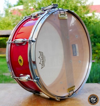 Werbel Slingerland Nashville Radio King 14