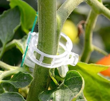 50 шт. прозрачные зажимы для растений.