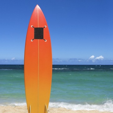 1 НАБОР СУМКИ ДЛЯ ПАДА ДЛЯ ПАДА С ПАДЛБОРДАМИ