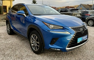 Lexus NX I 2020 Lexus NX 300h,Hybryda,4x4,Europa, zdjęcie 5