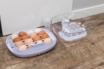 ИНКУБАТОР HATTER EGG HATTER INCHATING 16 ЯИЦ