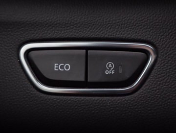 Renault Kadjar Crossover Facelifting 1.7 Blue dCi 150KM 2019 Renault Kadjar 1.7 dCi, Salon Polska, 4X4, Skóra, zdjęcie 20