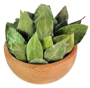 LIŚĆ LAUROWY 0,1Kg LIŚCIE LAUROWE 100g BOBKOWE