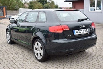 Audi A3 8P Hatchback 3d 2.0 TDI PD 140KM 2004 Audi A3 2.0 TDI , Sportback, Sprowadzony, Jasn..., zdjęcie 6