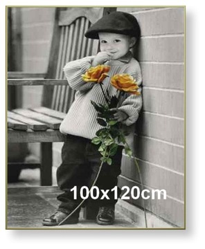 Rama aluminiowa do zdjęcia lub plakatu 100x120cm, złoty półmat