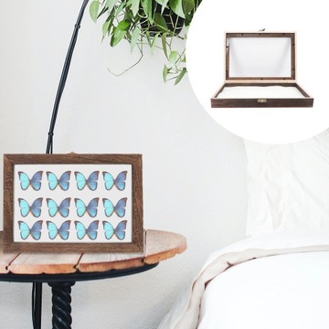 Pudełko na okazy owadów do terrarium