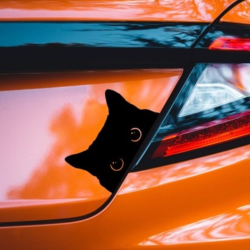 Наклейка КОТ СМОТРИТ НА ОКНО МАШИНЫ - Забавный дизайн для владельцев кошек