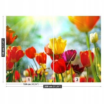 TAPETA SAMOPRZYLEPNA Kwiaty tulipany 208x146