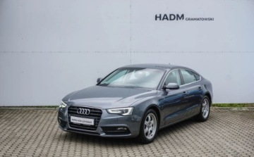 Audi A5 8T Coupe Facelifting 1.8 TFSI 170KM 2012 Audi A5 Sportback Audi A5 Sportback 1.8 TFSI 170KM 1.8 Benzyna 170KM, zdjęcie 2