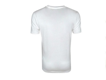 CALVIN KLEIN, t-shirt męski, biały, S