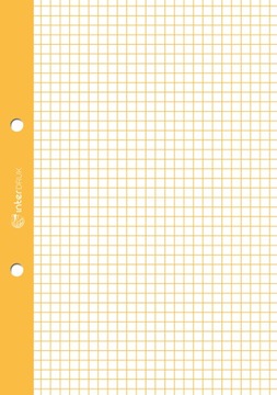 Вкладыш для скоросшивателя с цветной сеткой А5 50к х 10.