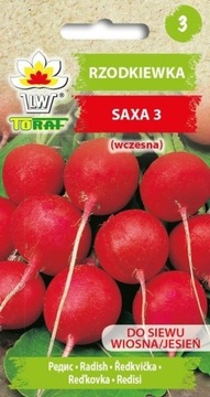 Nasiona Rzodkiew wczesna SAXA 3 10g