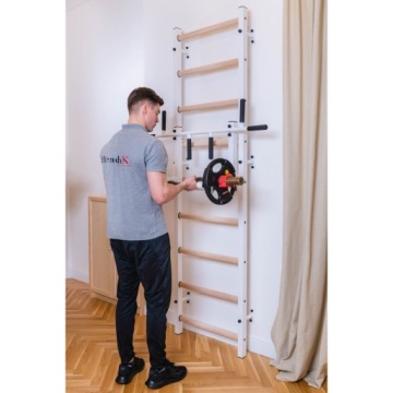 BenchK 731W Многоцелевая гимнастическая лестница с перекладиной для подтягиваний