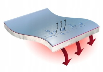 Мужские перчатки REUSCH Jupiter Gore-Tex, Prima-Loft, размер 9,5