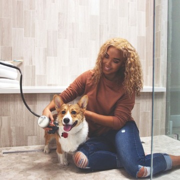 ЩЕТКА ДЛЯ МОЙКИ СОБАКИ, дозатор шампуня, МАШИНА, насадка для душа