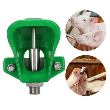 Свинья Миска с водой Поросята Ферма