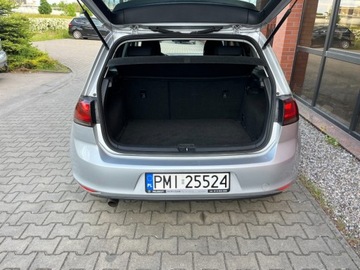 Volkswagen Golf VII Hatchback 3d 1.6 TDI-CR DPF 105KM 2013 Volkswagen Golf 1.6 diesel 105 KM zarej w PL ksiazka serwis zadbany z, zdjęcie 22
