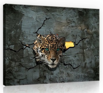 OBRAZ NA PŁÓTNIE CANVAS 70x50 JAGUAR KOT ŚCIANA