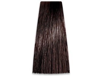 PROSALON PROFESSIONAL Intensis Color nr 4.0 100g