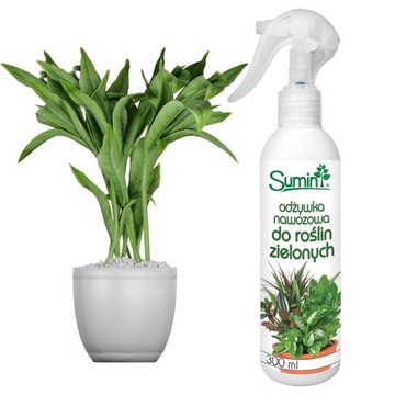 УДОБРЕНИЕ КОНДИЦИОНЕР УДОБРЕНИЕ ДЛЯ ЛИСТЬЕВ ЗЕЛЕНЫХ РАСТЕНИЙ MONSTERY PALM FICUS SPRAY