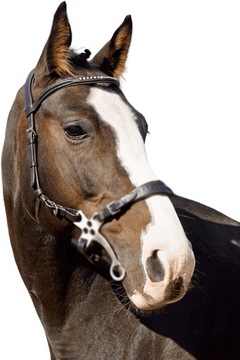 Ogłowie do hackamore Balotade Quick Brązowy Full