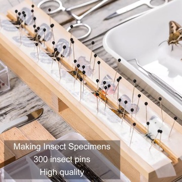 Закрепление образцов энтомологического оборудования для насекомых