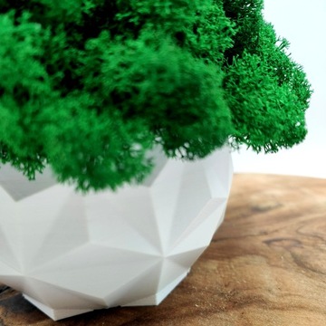 Вазон с мхом хроботек CHROBOTEK MOSS в белом горшке, 3D принт №2