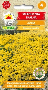 SMAGLICZKA SKALNA ZÓŁTA WIELOLETNIA NA SKALNIAKI