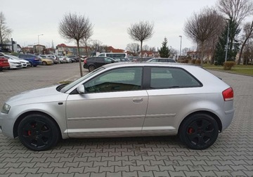 Audi A3 8L Hatchback 1.6 i 102KM 2003 Audi A3 3-drzwiowe Zarejestrowany - ubezpieczony - 1,6 - LPG 1.6 102KM, zdjęcie 10