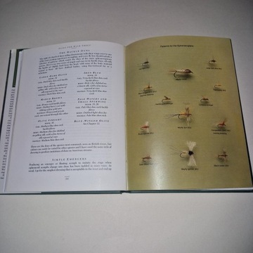 Погоня за дикой форелью Майк Уивер Статус BDB