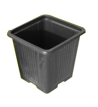DONICZKA 8x8x8 MIĘKKA DONICZKI PRODUKCYJNA 100szt