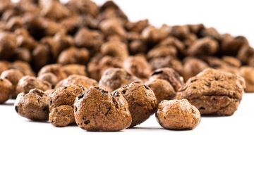 САДОВОДСТВО LCA дренажные гранулы для грунта 50л