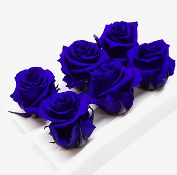 Wieczne róże - Highland Whisper Dark Violet