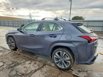 Lexus UX 2025 Lexus UX 300h Premium 2025 2.0 Hybryda 196KM, zdjęcie 1