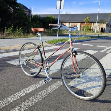 Baluma Rower Miejski Retro Ściółka Leśna Damski