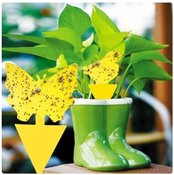 24 НАБОРА YELLOW POT PARTY для земляных комаров, тли, плодовых мух, насекомых